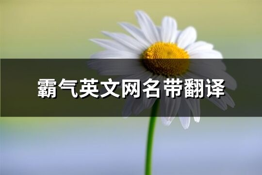 霸气英文网名带翻译(共140个)