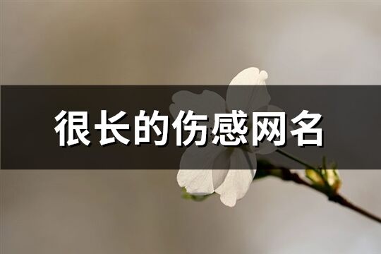 很长的伤感网名(396个)