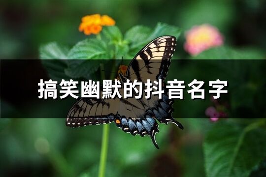 搞笑幽默的抖音名字(精选238个)