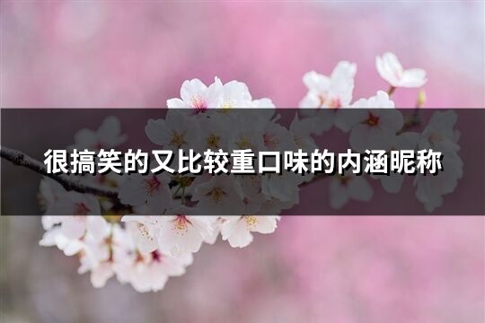 很搞笑的又比较重口味的内涵昵称(共594个)