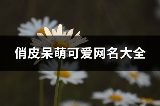 俏皮呆萌可爱网名大全(共186个)