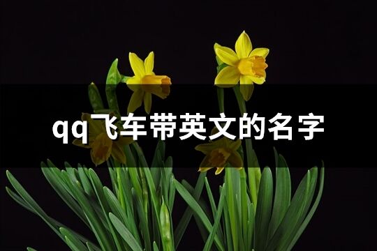 qq飞车带英文的名字(精选104个)