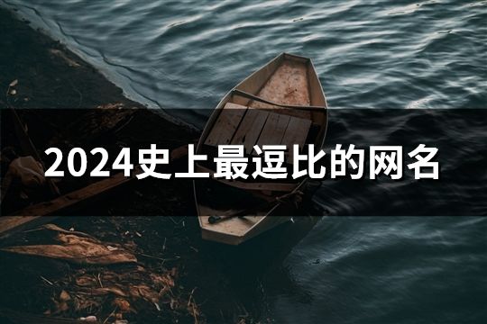 2024史上最逗比的网名(共82个)