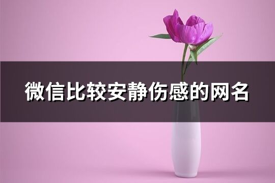 微信比较安静伤感的网名(共693个)