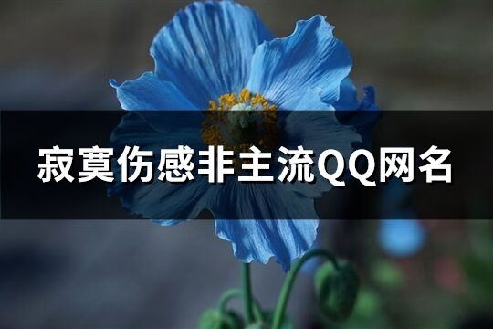 寂寞伤感非主流QQ网名(676个)