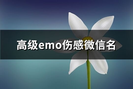 高级emo伤感微信名(共234个)