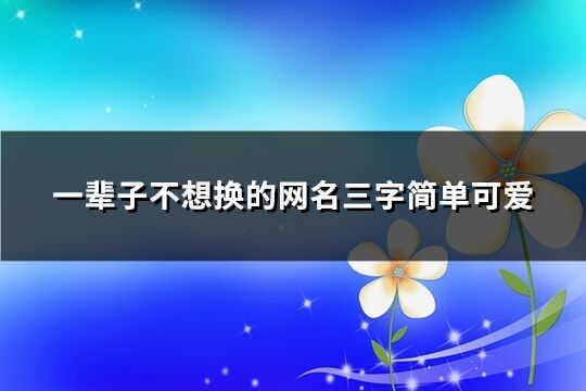 一辈子不想换的网名三字简单可爱(913个)