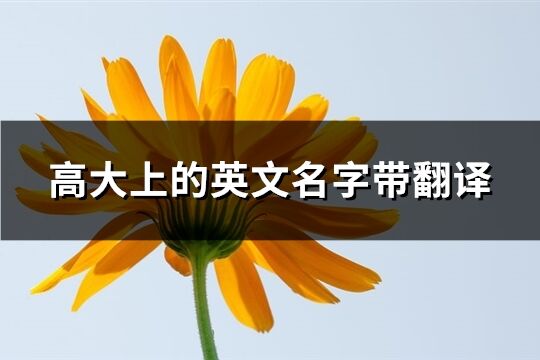 高大上的英文名字带翻译(共79个)