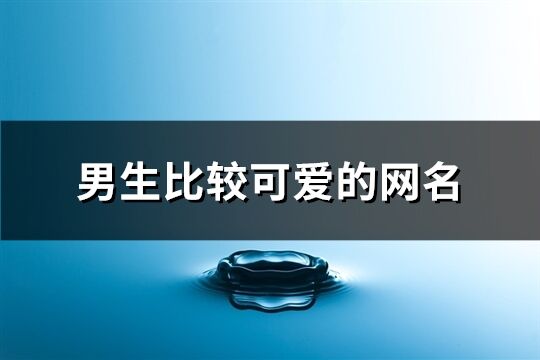 男生比较可爱的网名(精选133个)