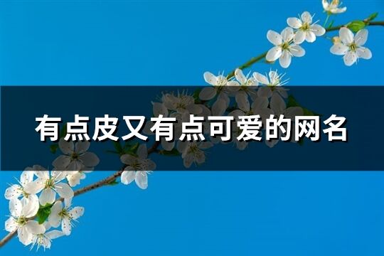 有点皮又有点可爱的网名(共364个)