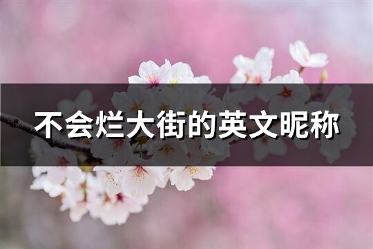 不会烂大街的英文昵称(131个)