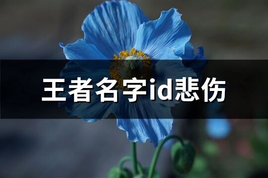 王者名字id悲伤(共71个)