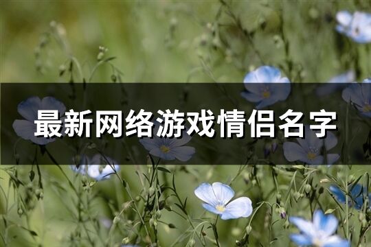 最新网络游戏情侣名字(989个)