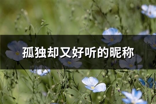 孤独却又好听的昵称(共192个)