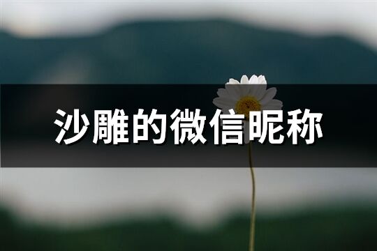 沙雕的微信昵称(116个)