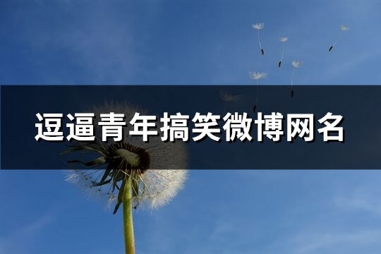 逗逼青年搞笑微博网名(共225个)