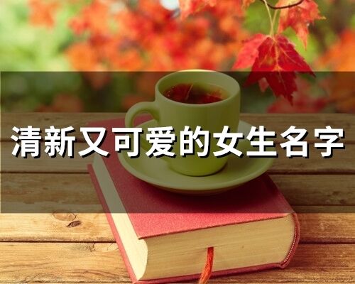 清新又可爱的女生名字