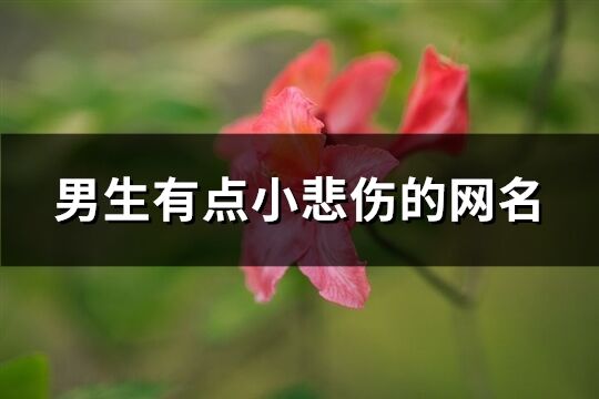 男生有点小悲伤的网名(共447个)