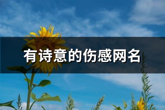 有诗意的伤感网名(261个)