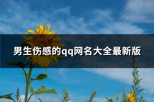 男生伤感的qq网名大全最新版(共551个)