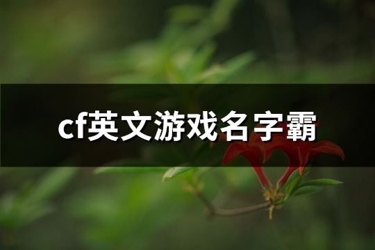 cf英文游戏名字霸(200个)