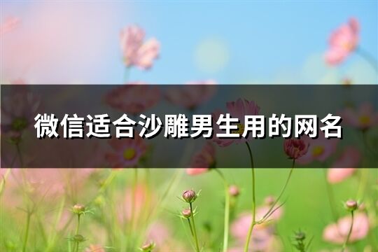 微信适合沙雕男生用的网名(精选162个)