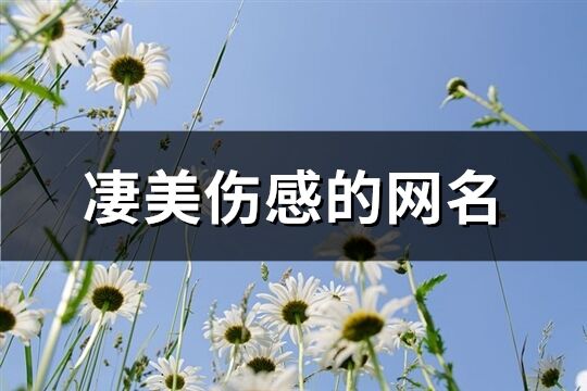 凄美伤感的网名(共342个)