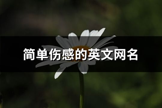 简单伤感的英文网名(188个)