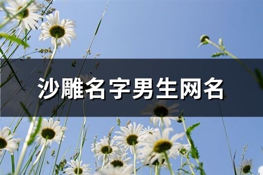 沙雕名字男生网名(732个)