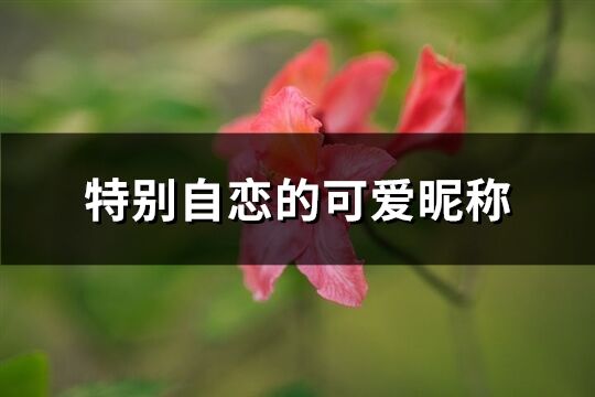 特别自恋的可爱昵称(优选475个)