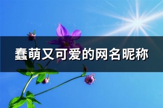 蠢萌又可爱的网名昵称(共117个)