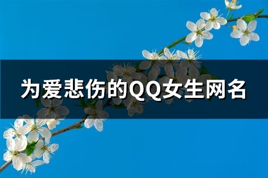 为爱悲伤的QQ女生网名(共303个)