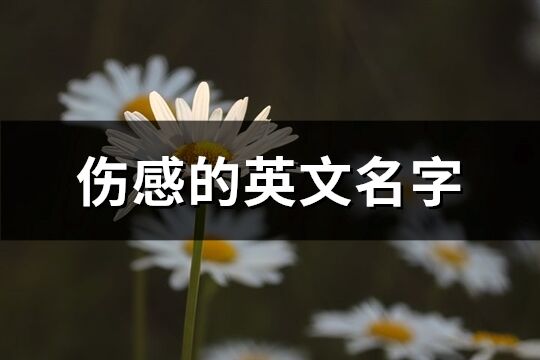 伤感的英文名字(精选160个)