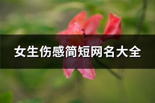 女生伤感简短网名大全(精选142个)