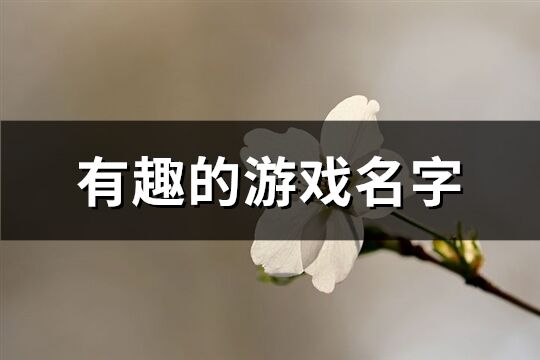 有趣的游戏名字(共215个)