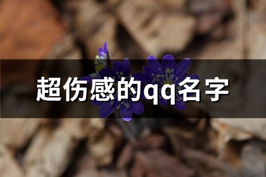 超伤感的qq名字(共243个)