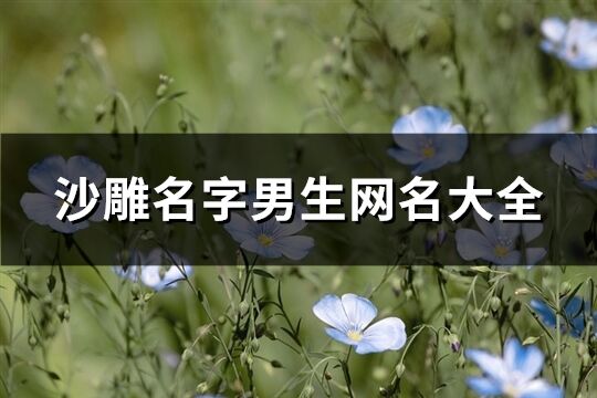 沙雕名字男生网名大全