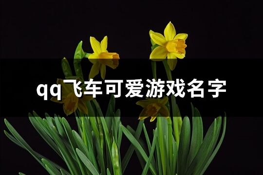 qq飞车可爱游戏名字(524个)