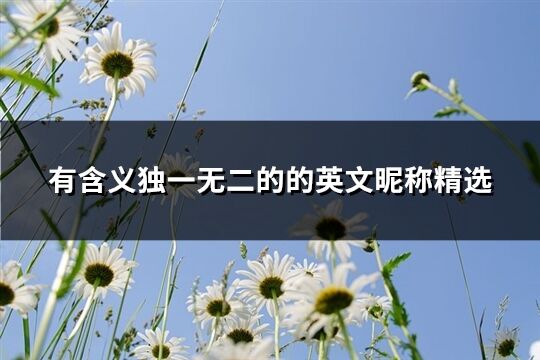 有含义独一无二的的英文昵称精选(共163个)