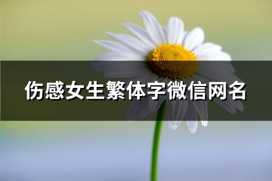 伤感女生繁体字微信网名(精选64个)