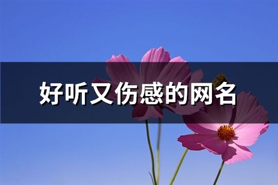 好听又伤感的网名(精选386个)