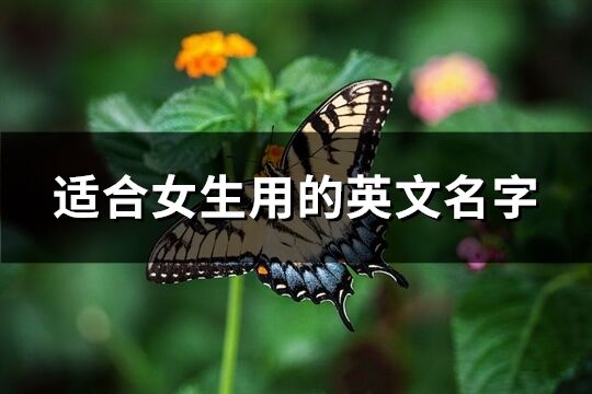 适合女生用的英文名字(优选147个)