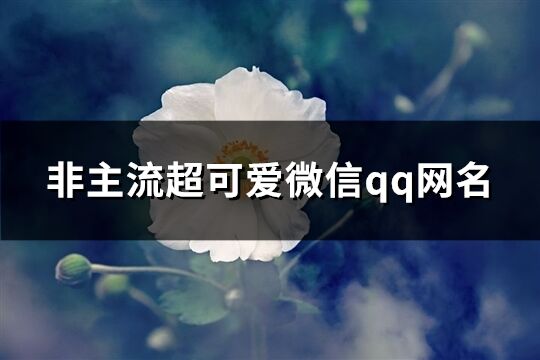 非主流超可爱微信qq网名(共535个)