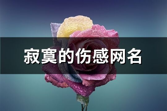 寂寞的伤感网名(精选297个)