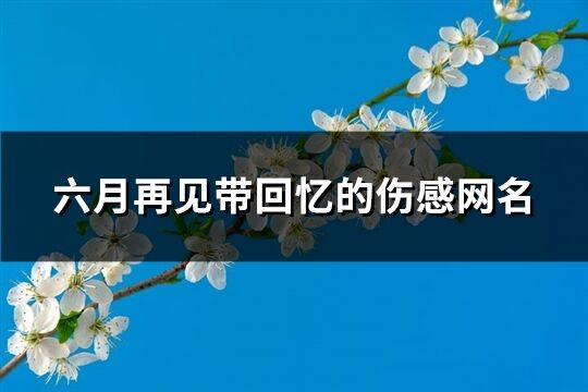 六月再见带回忆的伤感网名(共164个)