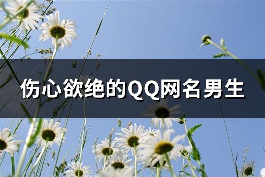 伤心欲绝的QQ网名男生(共640个)