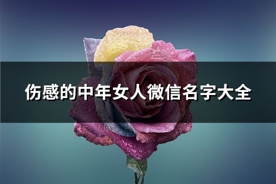 伤感的中年女人微信名字大全(85个)