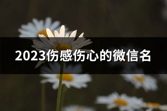 2023伤感伤心的微信名(共2473个)