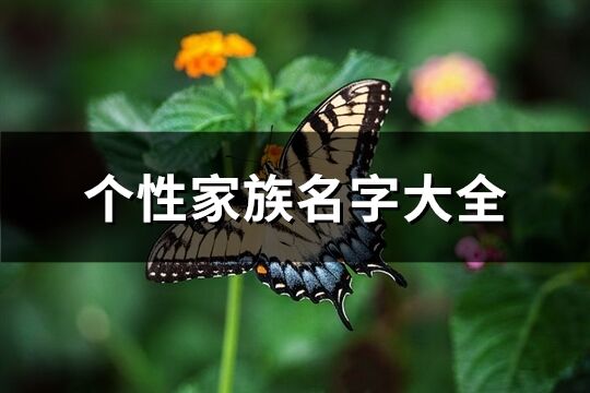 个性家族名字大全(共438个)