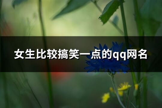 女生比较搞笑一点的qq网名(共209个)